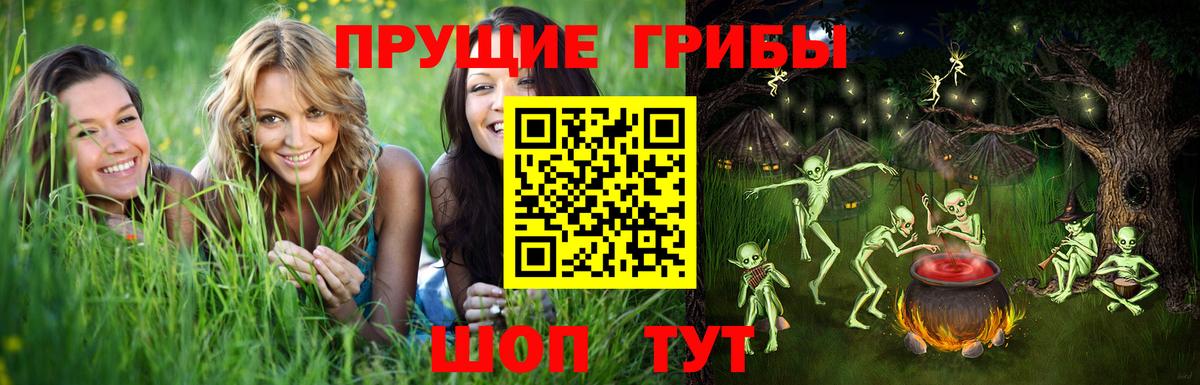 Псилоцибиновые грибы ЛСД Кашира