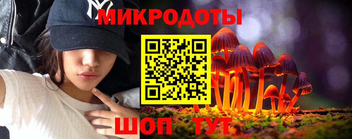 купить  сайты  Вход с VPN  Кашира  Галлюциногенные грибы мицелий  Псилоцибиновые грибы мухоморы 